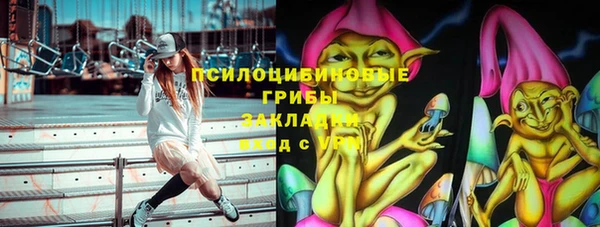 гашик Алексеевка