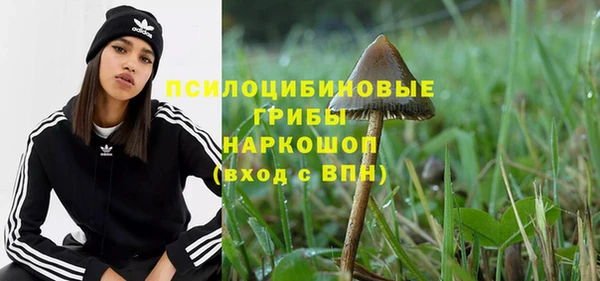 бошки Алексин