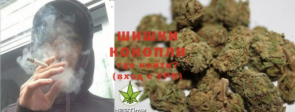 бошки Алексин