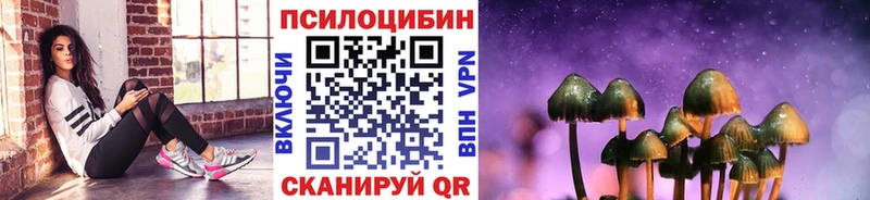 Псилоцибиновые грибы мицелий  магазин  наркотиков  omg   Мирный 